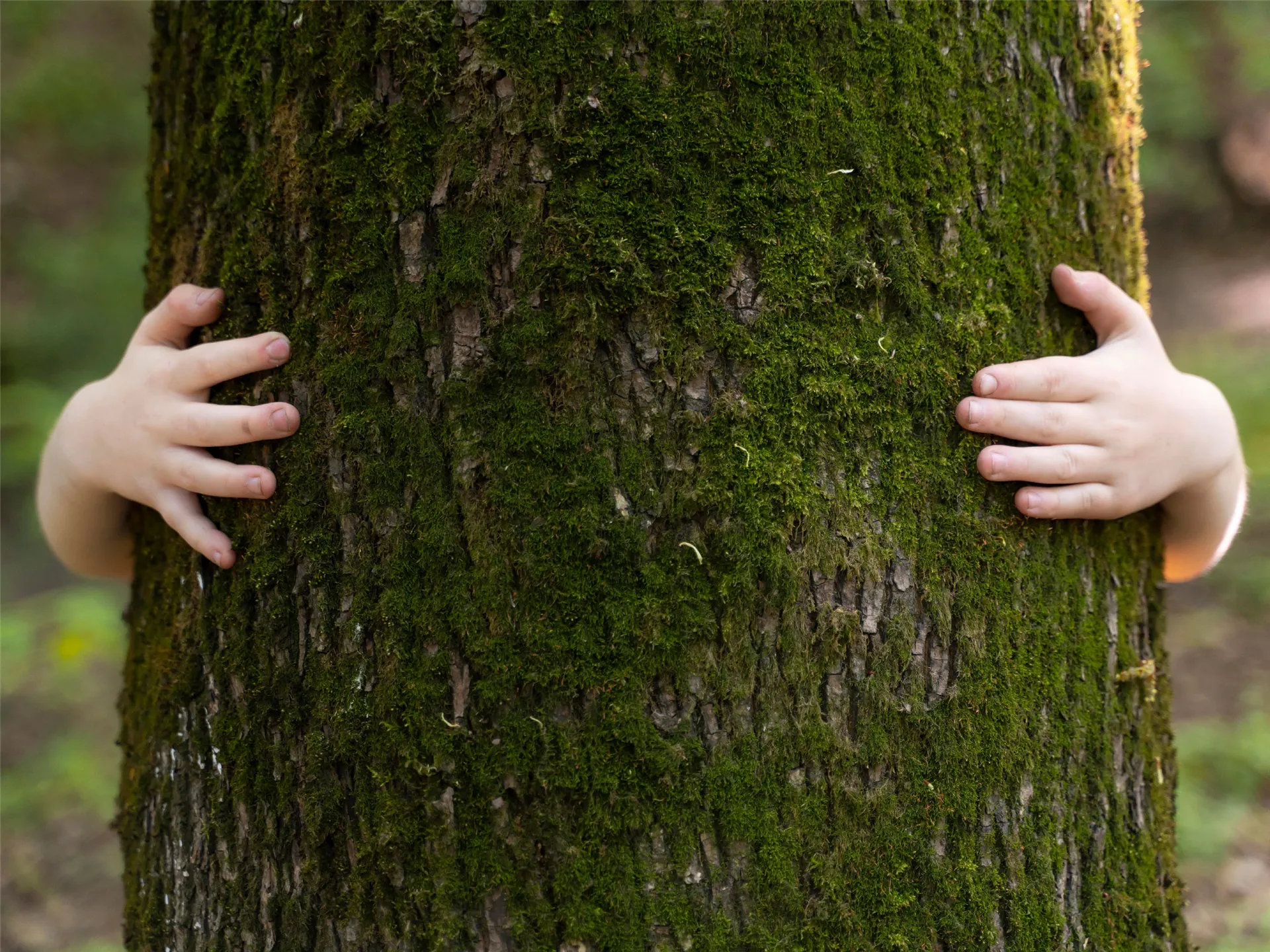 Mazot Filtresi Neden Hayati Öneme Sahiptir?
